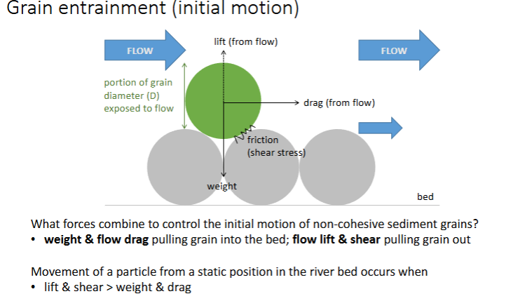 <p>For any particle on a river bed, there are several forces acting against them, e.g. gravitational weight, friction between sediments, and the flow trying to move it through lift, drag, and exposed area to the flow. </p>