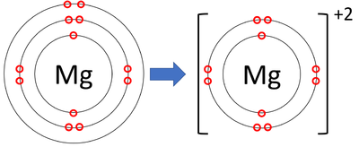 <ul><li><p>When an atom loses electrons they are losing negative charge and therefore become positive</p></li><li><p>A positive ion is called a cation</p><ul><li><p>E.g., Magnesium goes from 2.8.2 and loses 2 electrons to form 2.8</p></li></ul></li></ul>