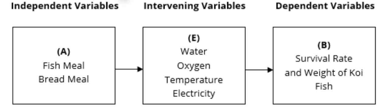 <p>This is a variable which interferes and hinders the independent and dependent variables, but the effects can either strengthen or weaken the said variables. For example, the researcher wishes to determine how independent variable A will affect the dependent variable B. It is possible that intervening variable E might have an effect on dependent variable B.</p>