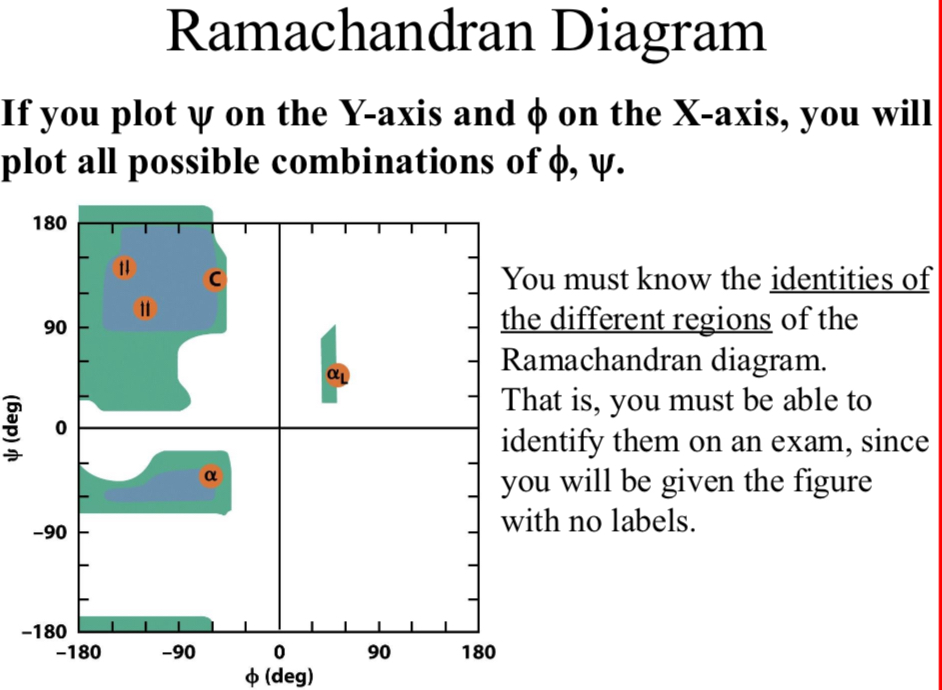 <p>Ramachandran Diagram</p>