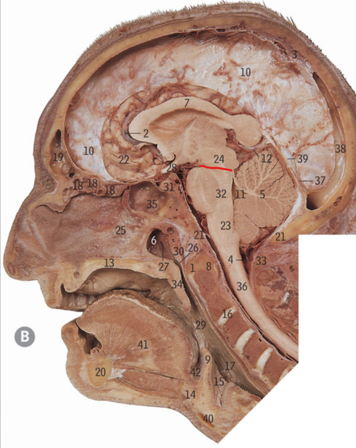 <p>What is the line referring to</p>