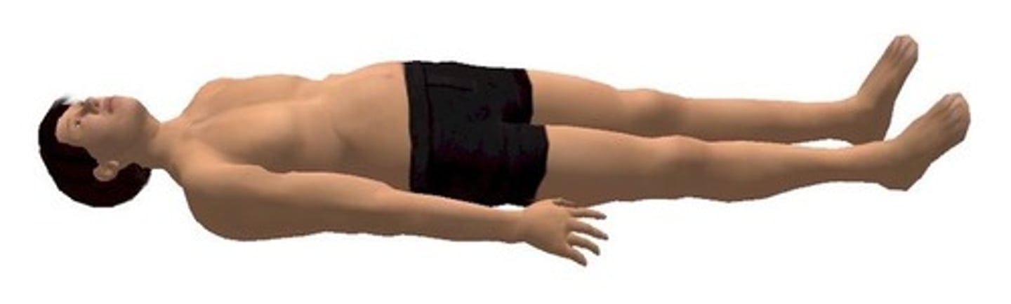 <p>Lying face up</p>