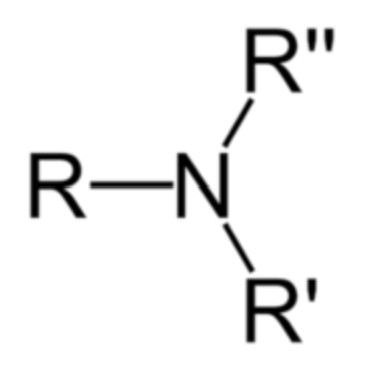 <p>Amine suffix</p>