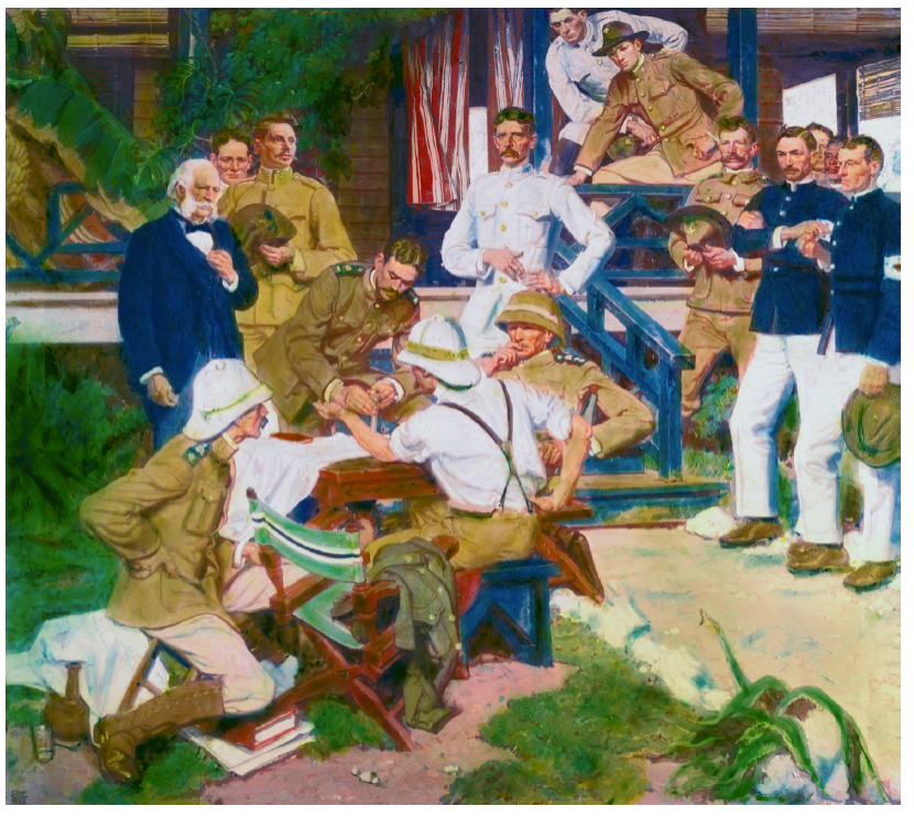 <p><strong>Walter Reed</strong> discovered the yellow fever virus, which is the first human virus that was able to be studied. He studied the <strong>transmission cycle</strong>. </p><p></p><p>To do this, he tested the infection by using a <strong>mosquito vector</strong> on <strong>human subjects. </strong></p>