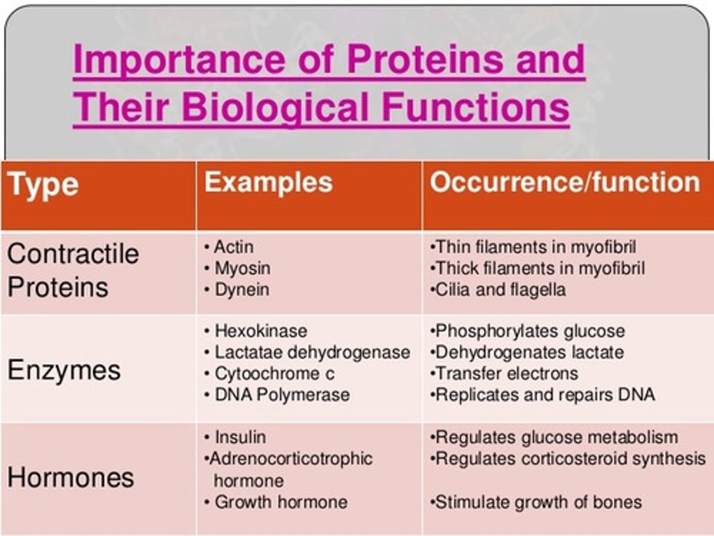 <p>Proteins make up the muscles in our bodies and perform vital functions as enzymes and transport proteins. If we primarily relied on muscles for our energy, we'd waste away and be unable to move. Most fats, on the other hand, don't have such a vital functional role.</p>