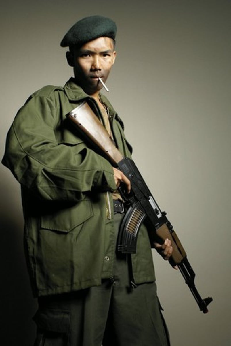<p>a professional soldier hired to serve in a foreign army.</p>