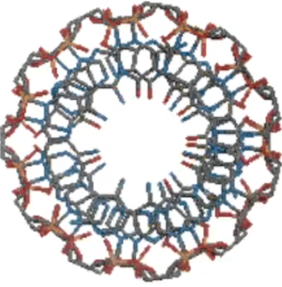 <p>what DNA duplex is this the top structural of?</p>