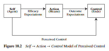 <p>What is an outcome expectation?</p>