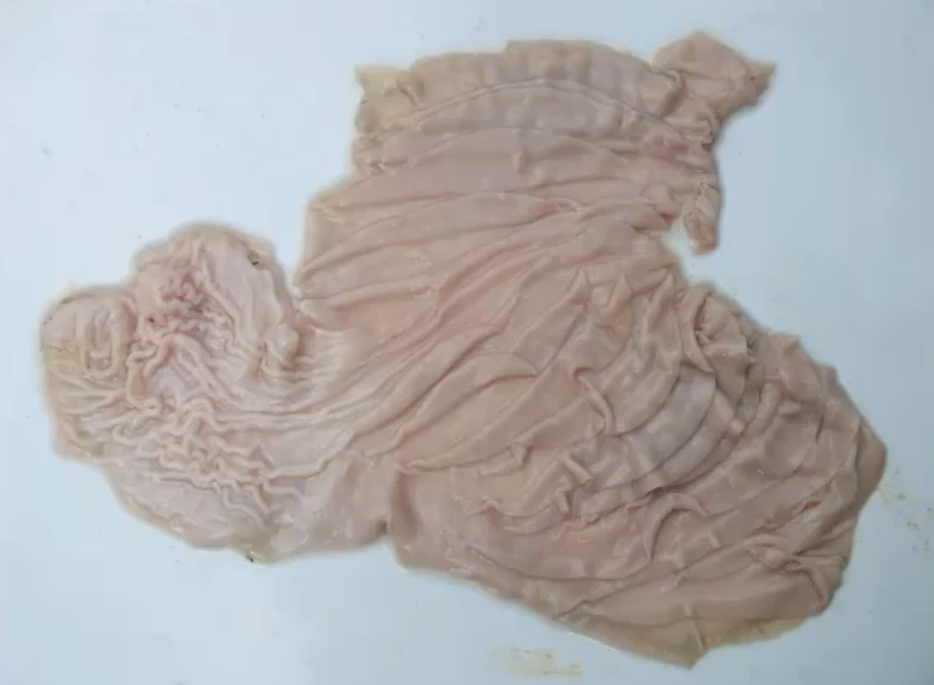 <p>What is this the lining of</p>