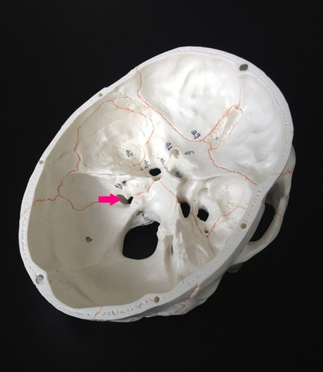 <p>Name the space</p>