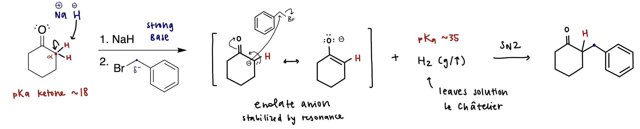 <p>NaH = H- (non-nucleophilic, strong base)<br><br>H- deprotonates alpha carbon to form enolate through resonance, and hydrogen gas (H2) leaves the mixture</p>