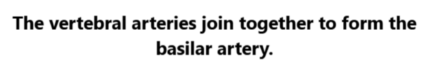 <p>A. Vertebral arteries</p>