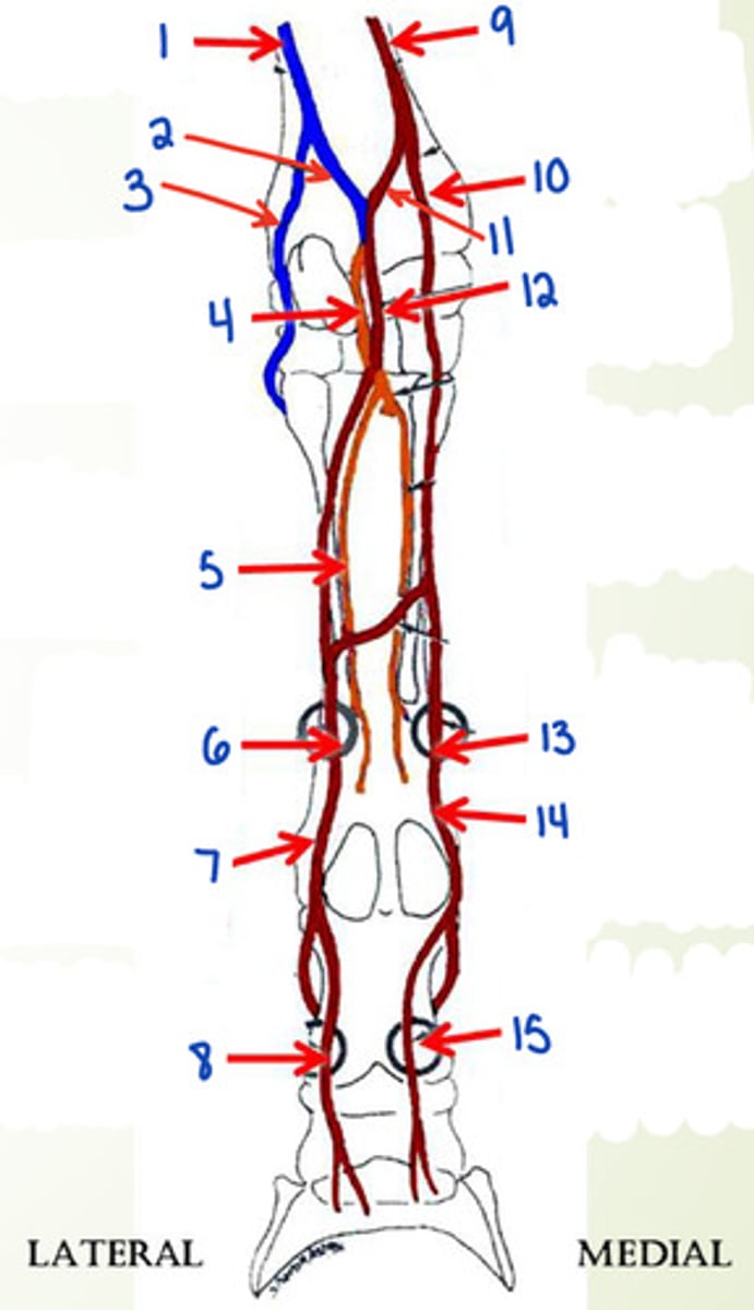 <p>What is 1?</p>