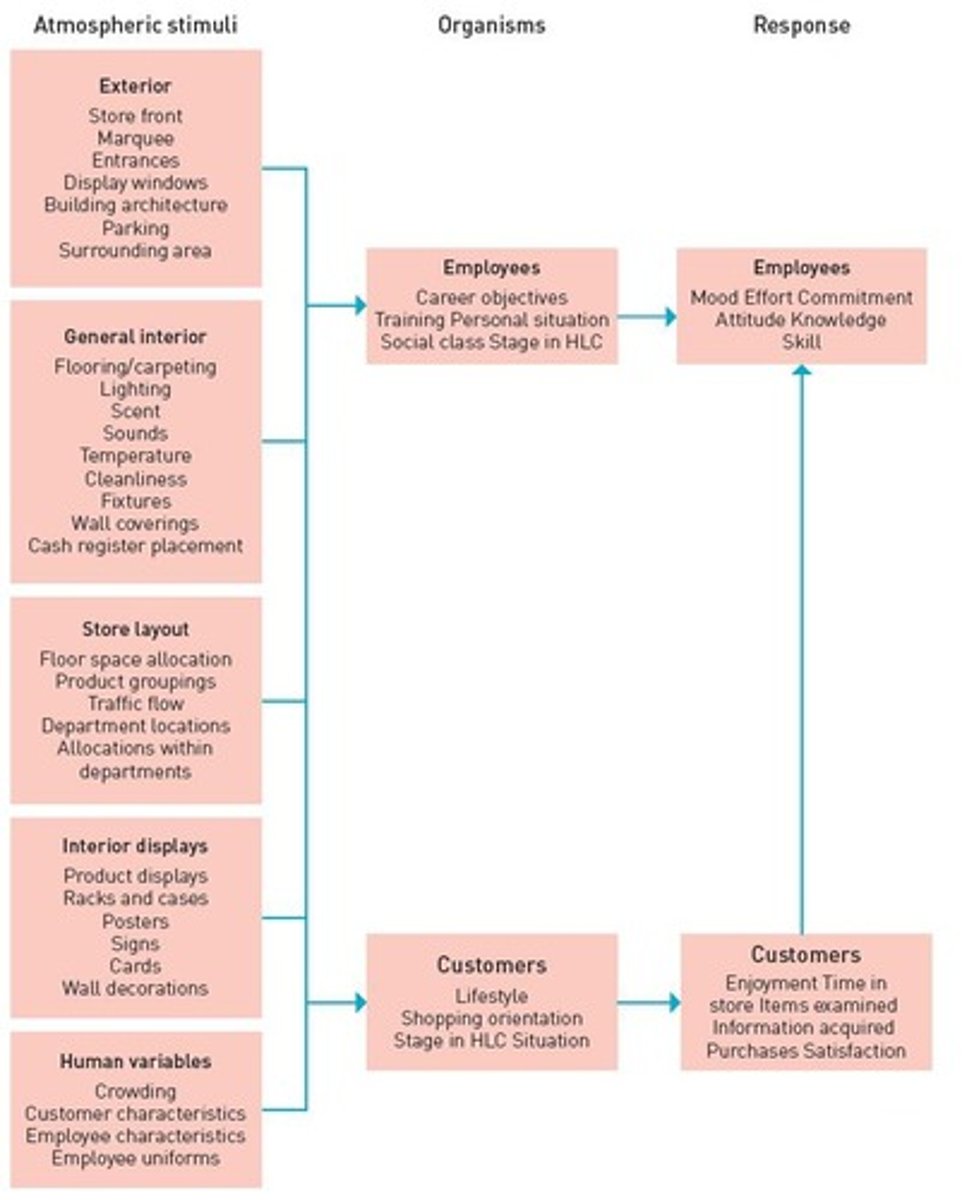 <p>Includes 7Ps: Product, Price, Place, Promotion, People, Processes, Physical Evidence.</p>