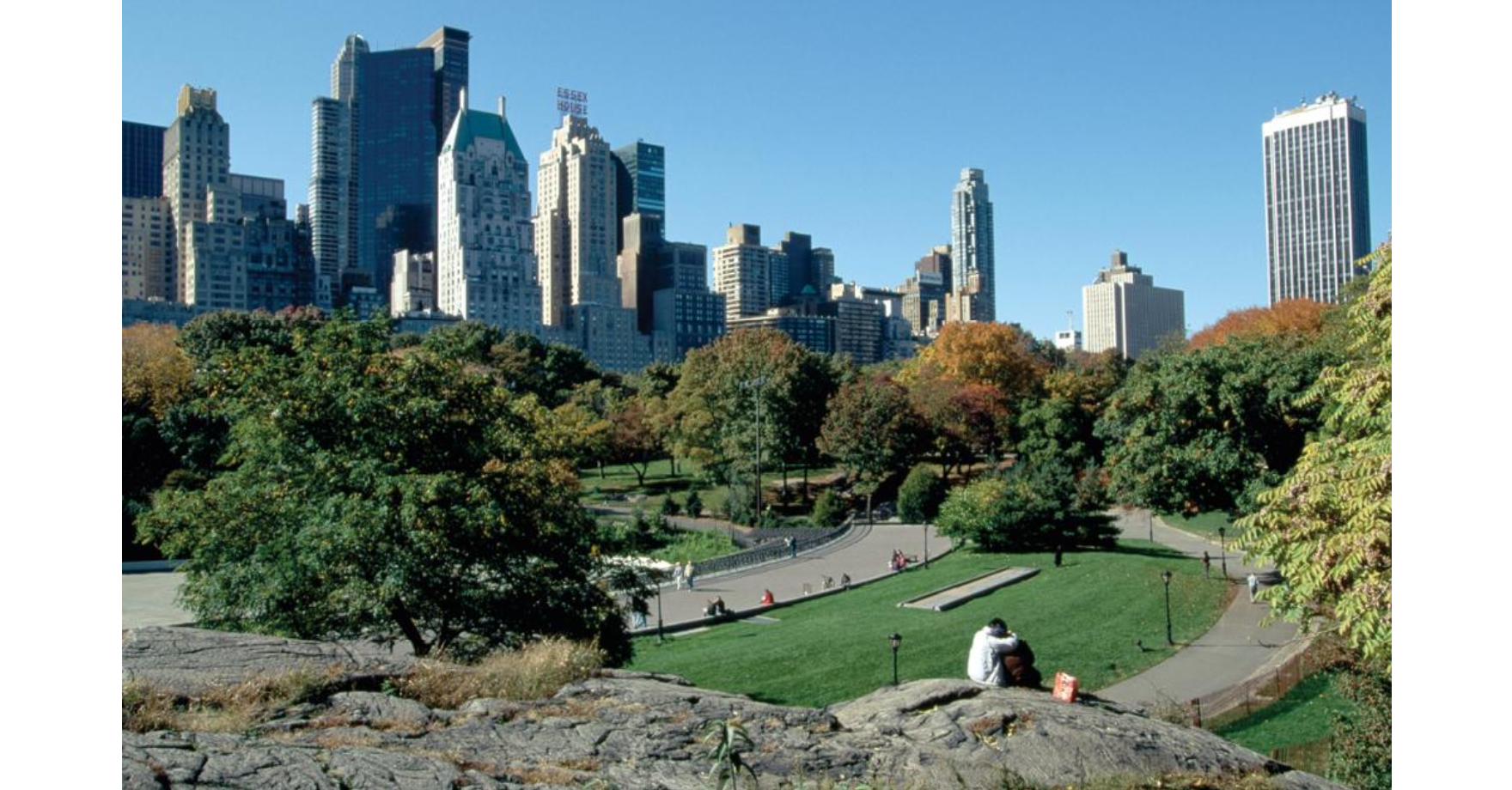 <p>Central Park</p>