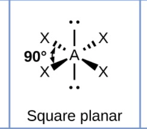 <p>square planar</p>