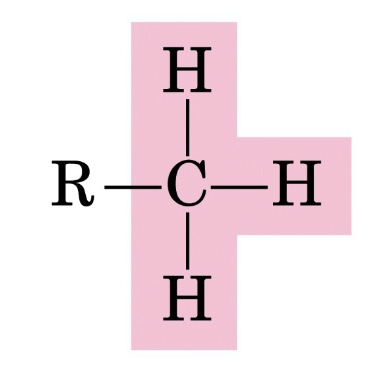 <p>What functional group is this?</p>