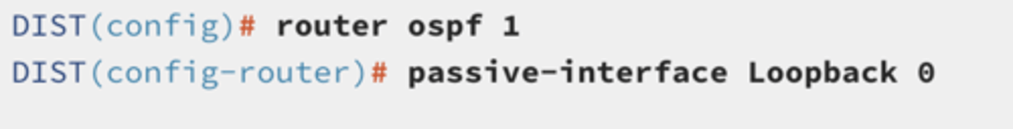 <p>set the routing protocol to ospf, set the interface to passive</p>