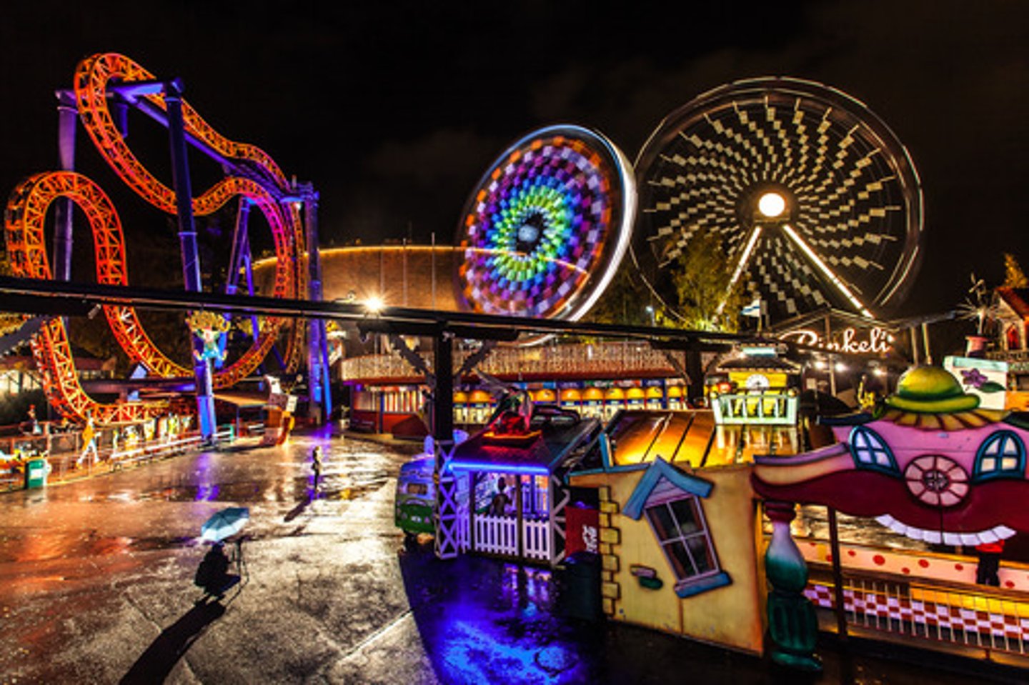 <p>amusement park, theme park</p>