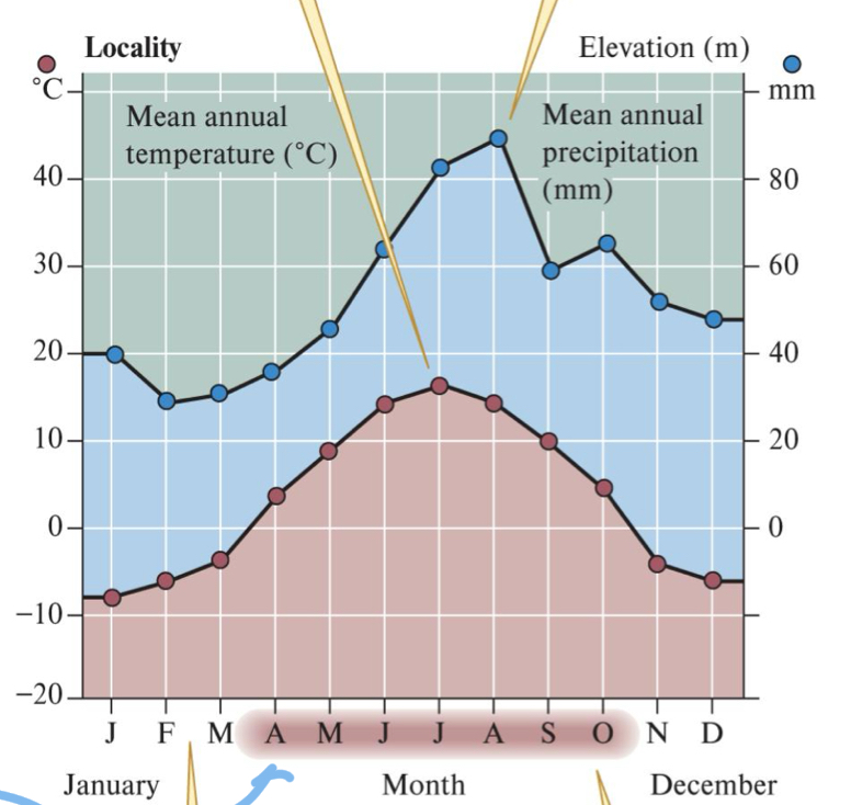 <p>Red = monthly temp (left axis)</p><p>Blue = Monthly precipitation (right axis)</p><p>Shaded month = average minimum temp = ABOVE ZERO</p>