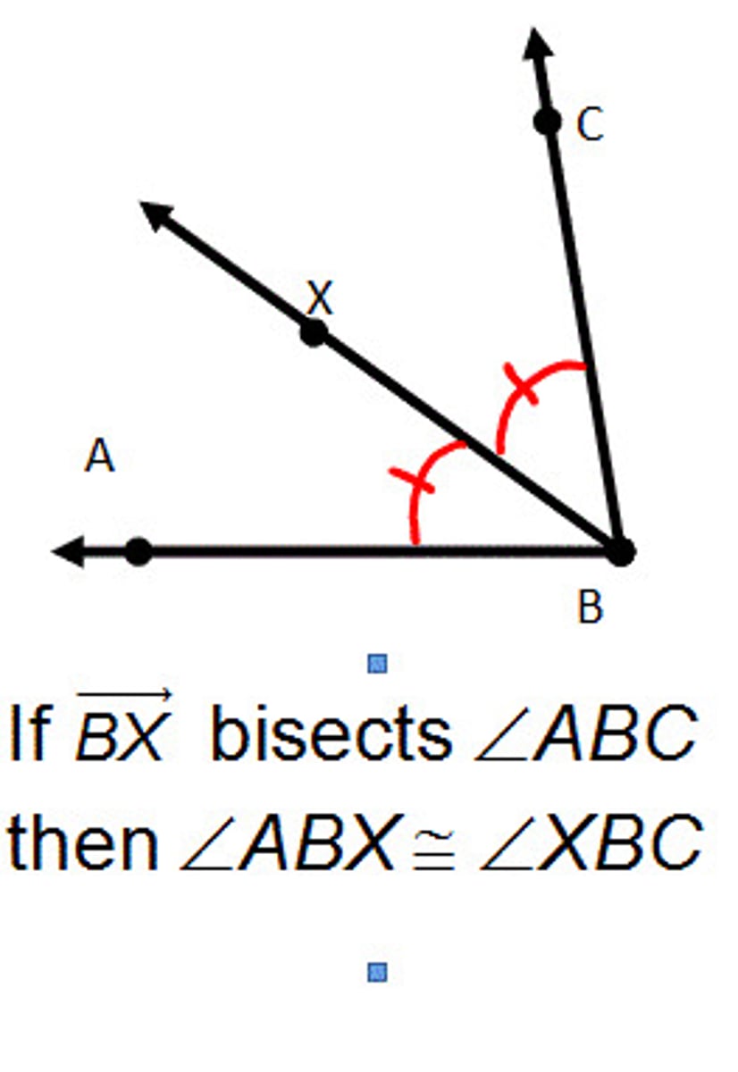 <p>a ray that divides an angle into <strong>two congruent adjacent angles</strong></p><ul><li><p>EQUIDISTANT from RAYS (not endpoints!!)</p></li></ul><p></p>