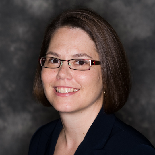 <p>Karen Landolt</p><p>Associate Professor of Instruction</p>