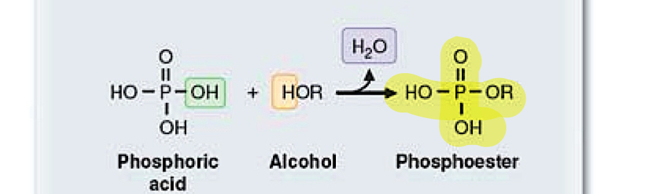 <p>phosphoric acid+alcohol</p>