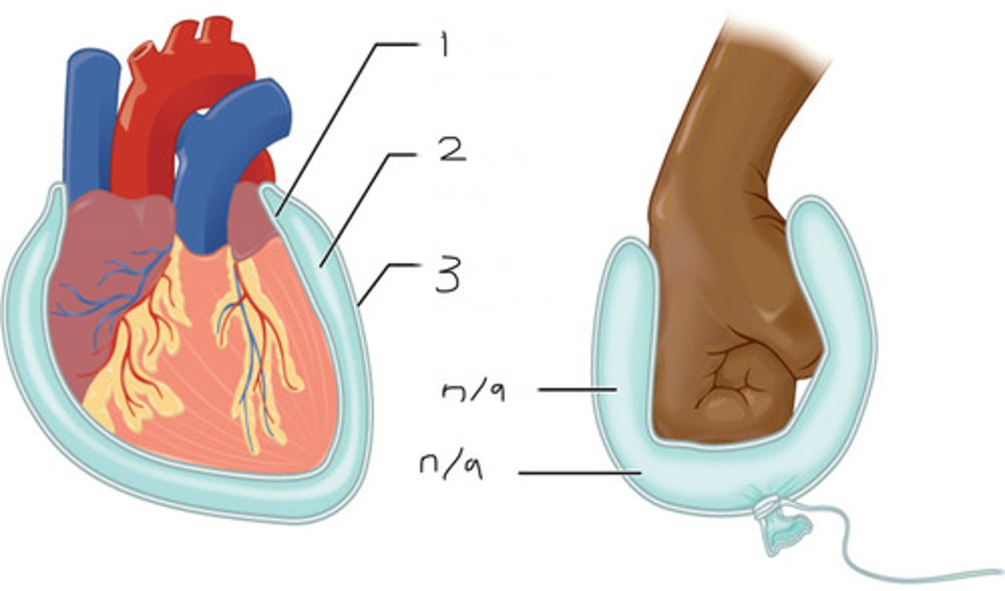 <p>#2</p>