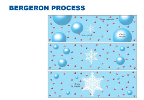 <p>The Bergeron process (or ice crystal process).</p>