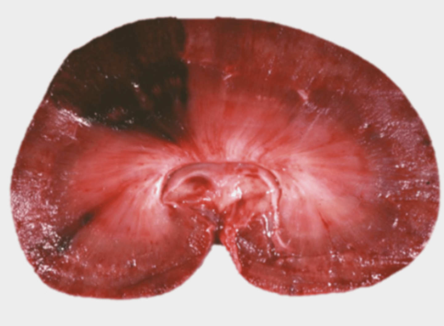 <p>What is being shown in this photo?</p>