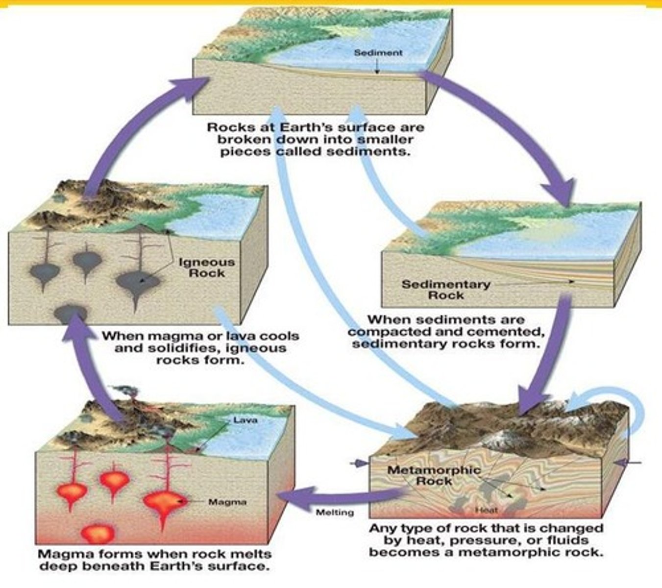 <p>Igneous, Sedimentary, and Metamorphic.</p>