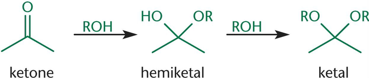 <p>hemiketal </p>