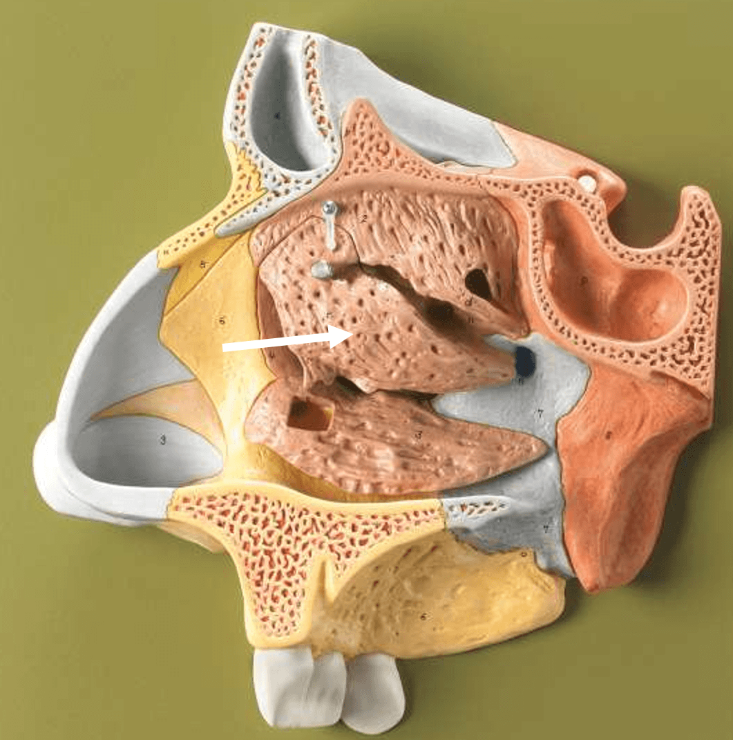 <p>Q. What’s it pointing to?</p>