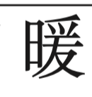 term image