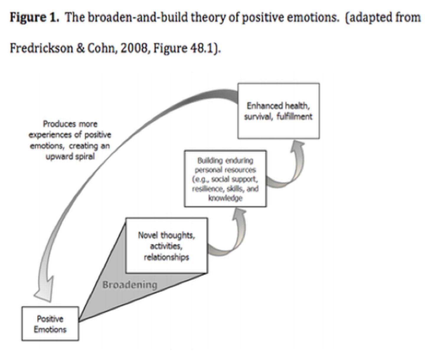 <p>Fredrickson's model for positive emotions, which posits that they widen our cognitive perspective and help us acquire useful life skills.</p>