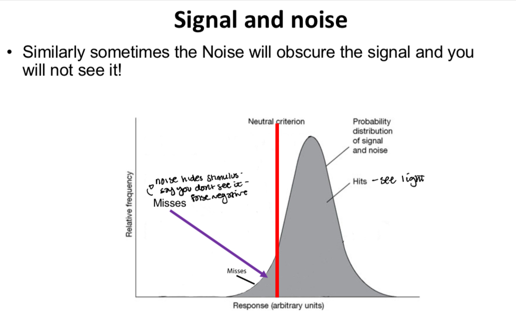 <p>Explain the graph</p>