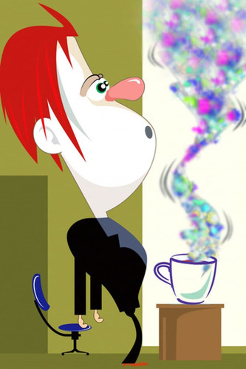 <p>false sensory experiences</p>
