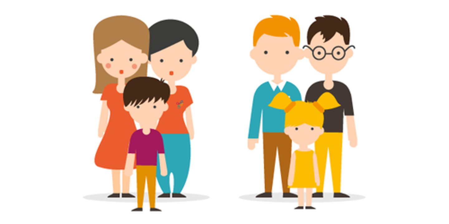 <p>Una familia con parejas del mismo género.(hombre+hombre o mujer+mujer)</p>