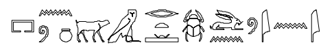 term image