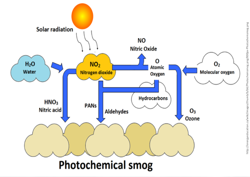 <p>Photochemical Smog</p>