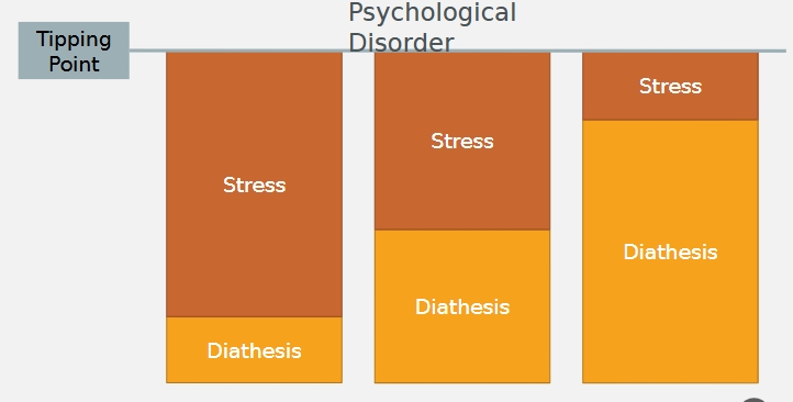 <p><span>Environmental stress interacts with genetics to predict whether a person will experience a psychological disorder&nbsp;</span></p><p><span>Genetic vulnerability (diathesis) x stress = psychological disorders </span></p><p></p>