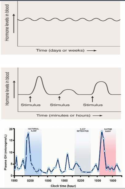<p>Which of these graphs represent chronic, episodic &amp; acute hormone secretion </p>