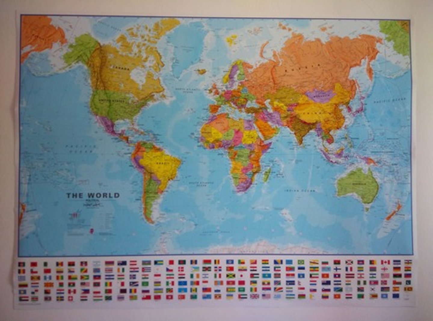 <p>world map</p>