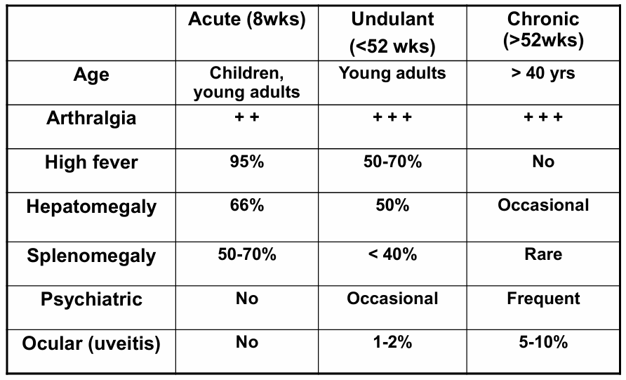 <p>Main takeaways from the table</p><ul><li><p>More acute if younger the patient, more chronic the older the patient</p></li><li><p>Arthralgia in all but more in chronic </p></li><li><p>Fever associated with acute, and undulant fever is undulant -No chronic</p></li><li><p>No Hepatomegaly in chronic</p></li><li><p>Rare splenomegaly in chronic</p></li><li><p>Psychiatric symptoms more common with chronic</p></li><li><p>More common ocular symptoms the more chronic </p></li></ul><p></p>