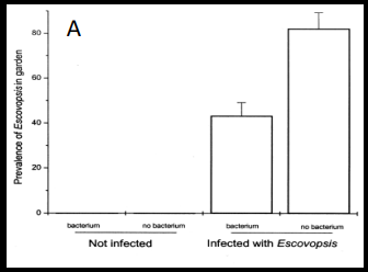 <p>Explain this graph</p>