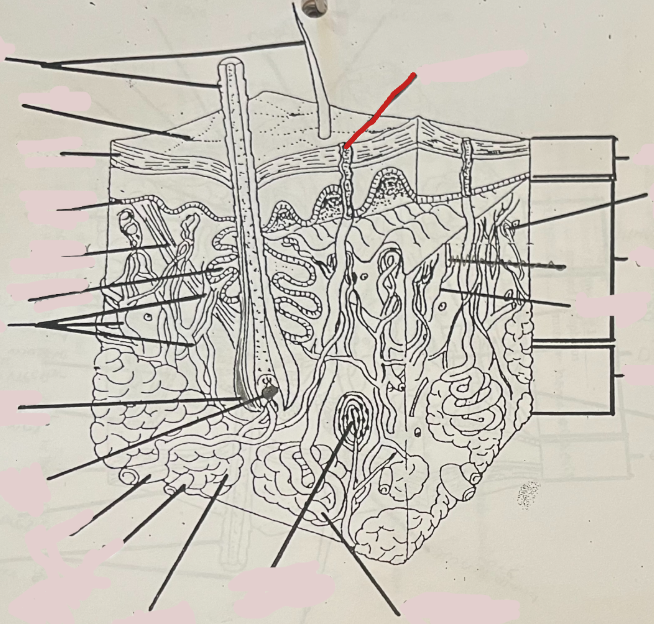 <p>What is this?</p>