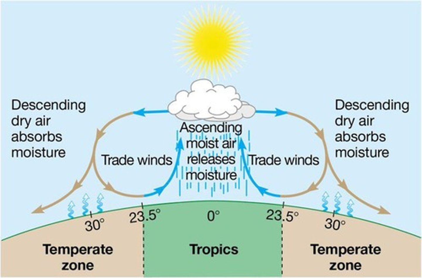 <p>Wind is driven by hot air rising and cooler air falling, and the unequal heating of the Earth's surface.</p>