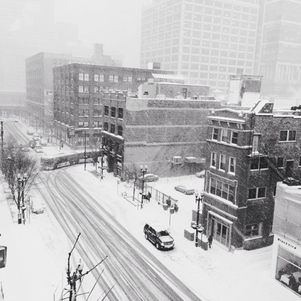 <p>está nevando</p>