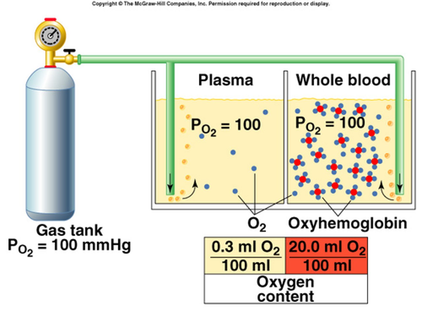<p>partial pressure of oxygen</p>
