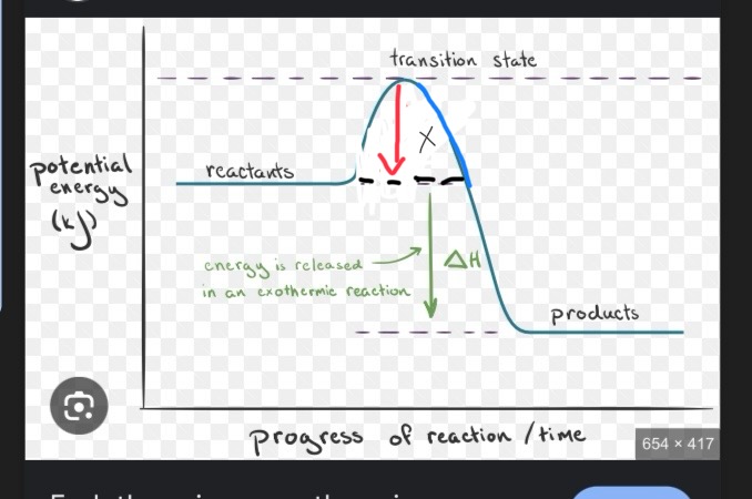 <p>This is an exothermic reaction, what would X be labeled as?</p>